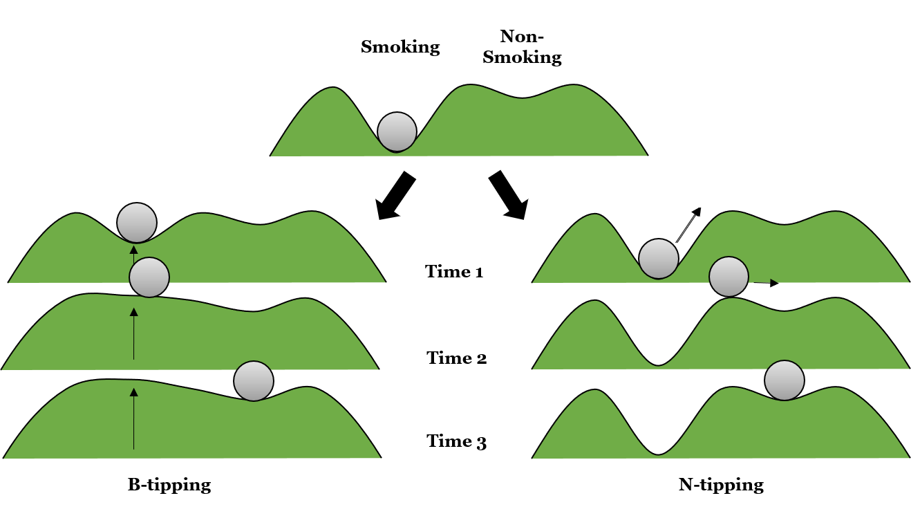 Smoking 1D Schematic